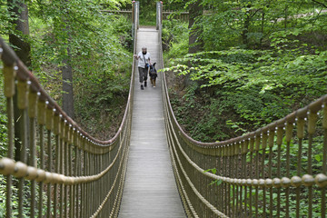 h&auml;ngebr&uuml;cke im binger wald