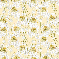 Watercolor horseradish flowers. Seamless pattern. Botanical illustration of organic, eco plant. Illustration For Food Design.