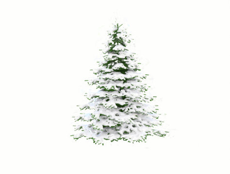 Christmas tree with snow isolated digital painted effect