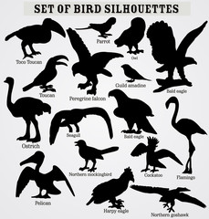Vector set of bird silhouettes with titles