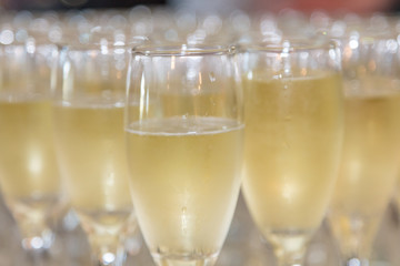 Filled champagne glasses ready for a celebratory toast