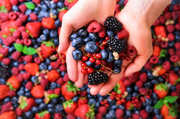 Woman hands holding organic fresh berries against the background of strawberry, blueberry,...