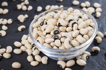 Black-headed beans, Vigna unguiculata