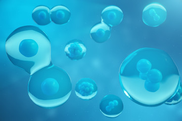 3D Rendering human or animal cells on blue background. Concept Early stage embryo Medicine scientific concept, Stem cell research and treatment.