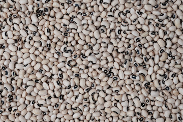 Navy beans. Pile of dried navy beans texture and background,close up top view.