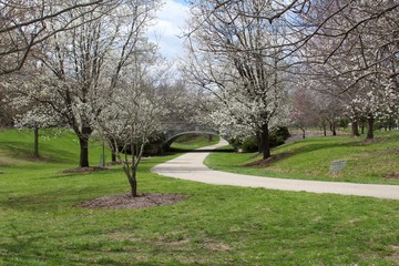 The winding path under the stone bridge in the park.