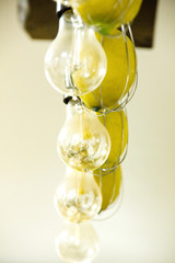 there are many Lamps hang in a row like a chandelier on a wooden base in a shuffle with lemons macro
