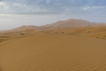 Merzouga desert