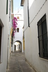 Fototapeta na wymiar White street in Cordoba Jewish quarter, Spain