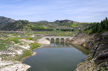 Fototapeta premium Bridge reflecting itself on a lake