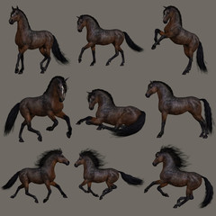 Mahogany Bay Horse, 3d CG