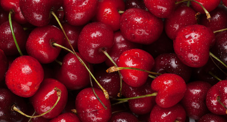 Fresh summer cherry