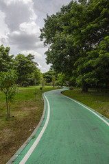 Fototapeta na wymiar green bike lane in the garden