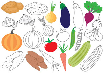 Vegetables. Coloring book. Educational game for children. Vector illustration.