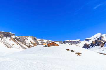 Fototapeta na wymiar Nature view of snow on mountain