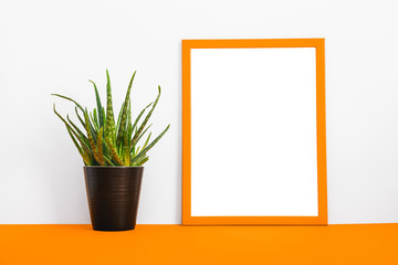 Photo frame and a plant.