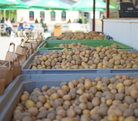 Crates full of raw loose potatoes (Solanum Tuberosum) at a market stall