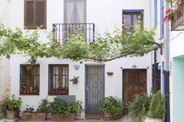 Rural facade with plants and a trellis, Mediterranean atmosphere