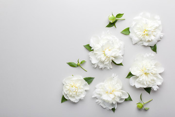 Flowers composition. Pattern made of white peony flowers on grey background. Flat lay, top view.