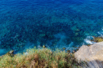 Crystal clear blue sea with rocks on the bottom and bushes in the foreground, Gran Canaria, Canary Islands, Spain