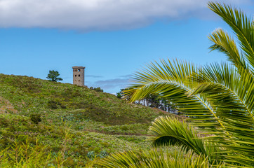 Abandoned tower on steep hill with palm leaves in the foreground, Tenerife, Canary Islands, Spain