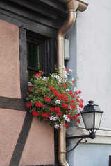 Fototapeta na wymiar Window and flowers