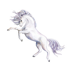 Obraz na płótnie Canvas Unicorn with a wreath of flowers. White Horse. Watercolor. Digital art. Illustration. Template. Clipart