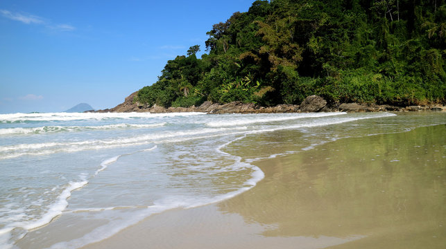 Juquehy beach, Sao Paulo Brazil. Beautiful beach and preserved Atlantic rain forest.