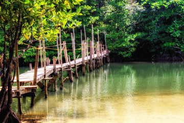 Wooden bridge in the jungle - Palawan Island, Philippines
