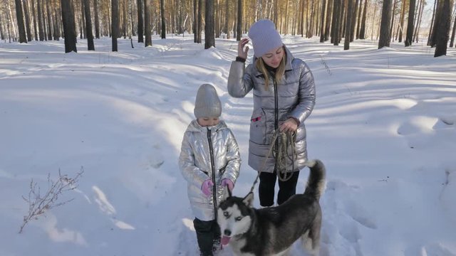 Beautiful woman and small child walking in winter forest with of husky dog. Happy young mother with daughter in the winter park with huskies dog. Friendship pet and human. Siberian husky dog in snow