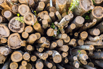 logs for logging