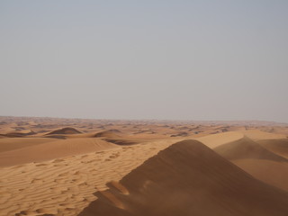 Fototapeta na wymiar Le désert de DubaÏ