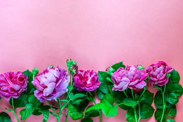 Roses and leaves top view flat lay