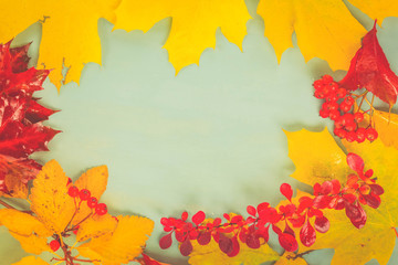 Naklejka na ściany i meble Fall leaves on blue