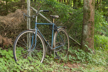 Fototapeta na wymiar altes Fahrrad im Wald