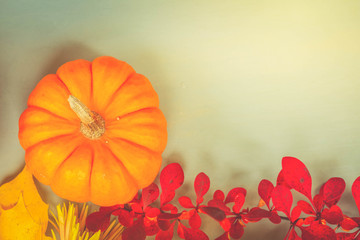 pumpkins on blue table