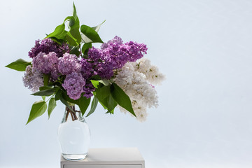 Lilac flowers in vase against white background
