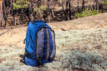 Tourist backpack on the glade in pine forest