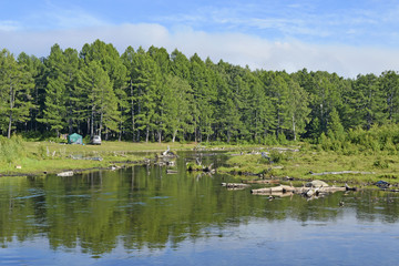 Fototapeta na wymiar Forest and tributary of lake Baikal.