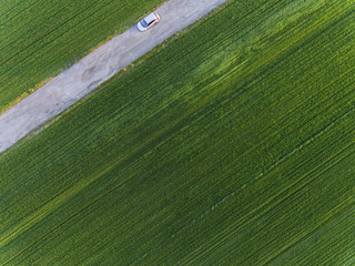 Road and green fields.