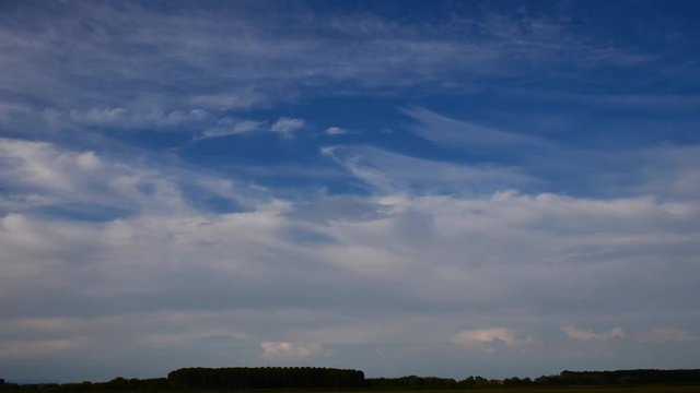field of green rise and cloudy sky