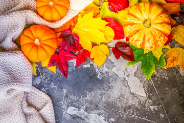 Thanksgiving pumpkins with fall leaves