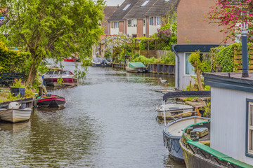 typical landscape on the outskirts of the city of Alkmaar. netherlands holland