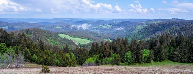 Panorama Schwarzwald