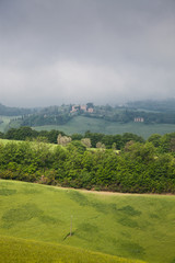 Fototapeta na wymiar green summer landscape in tuscany, Italy
