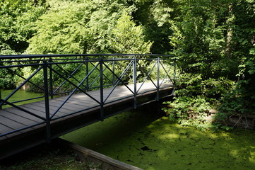 Spaziergang im Park über romantische Parkbrücke, Teichlinsen färben Wasser grün