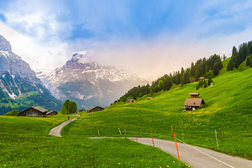 Beautiful Landscape of Grindelwald , Switzerland