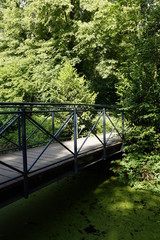  teichlinsen färben Wasser grün, romantische Parkbrücke