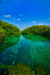 Tulum Mexico Cenote