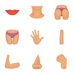 Body icons set. Cartoon illustration of 9 body vector icons for web